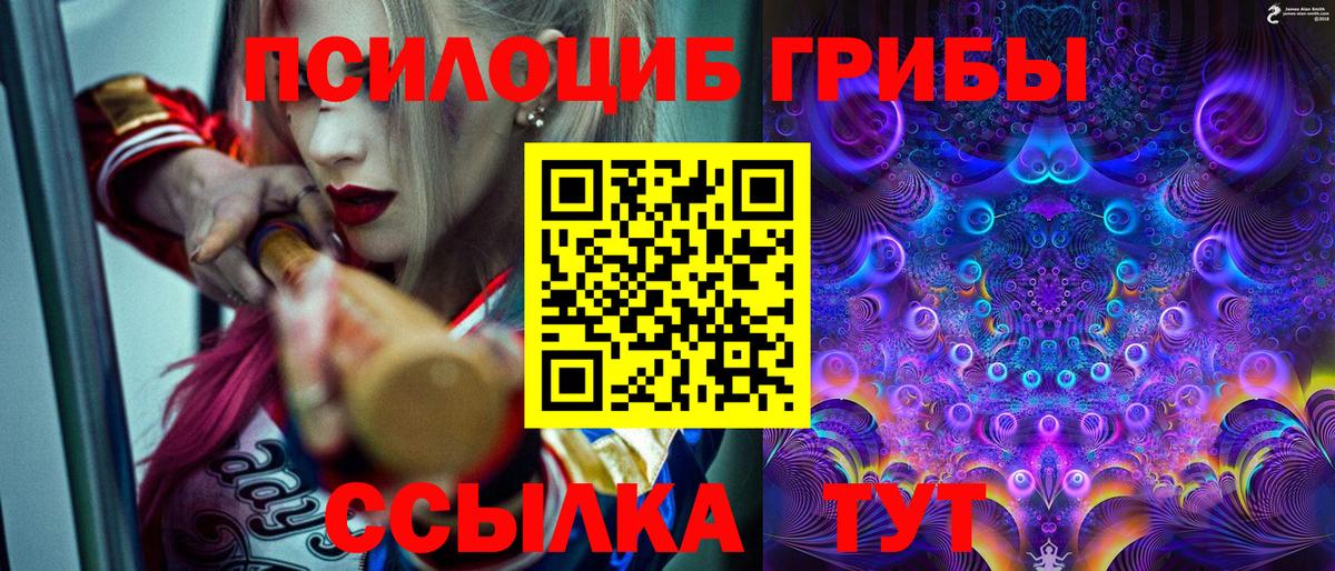 Псилоцибиновые грибы MAGIC MUSHROOMS  Вход с VPN  Спасск-Дальний 
